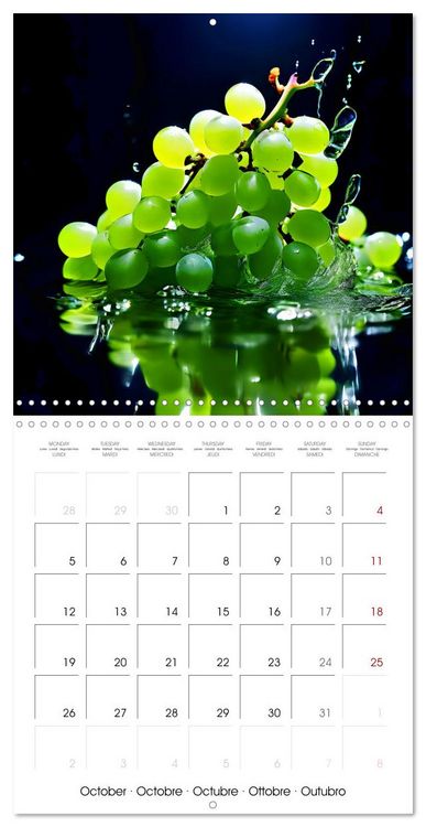 Produktbild: Fruity flavour explosions (Wall Calendar 2026 12 &times; 12 Inch) CALVENDO 12 Month Wall Calendar