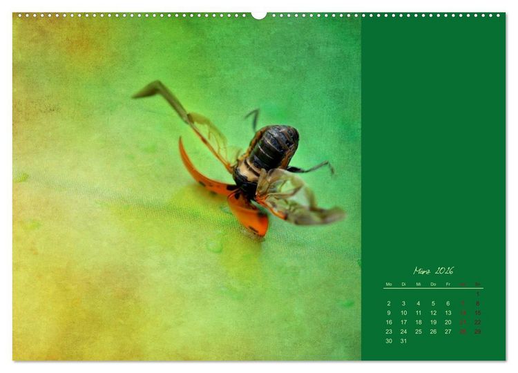 Produktbild: Kalenderspr&uuml;che (hochwertiger Premium Wandkalender 2026 DIN A2 quer), Kunstdruck in Hochglanz