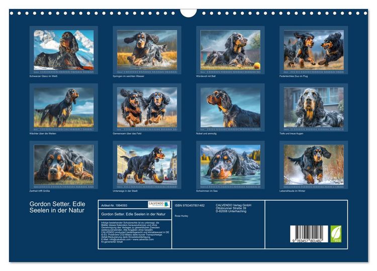 Produktbild: Gordon Setter. Edle Seelen in der Natur (Wandkalender 2026 DIN A3 quer), CALVENDO Monatskalender