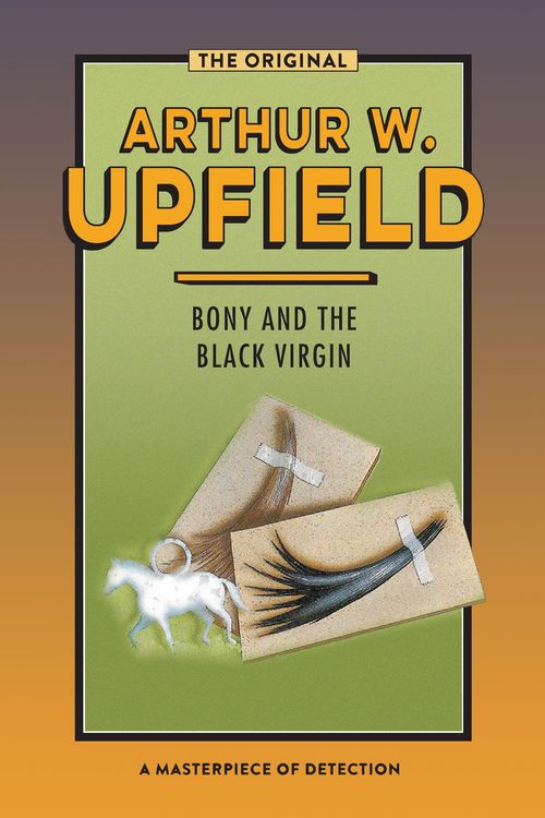 Produktbild: Bony and the Black Virgin