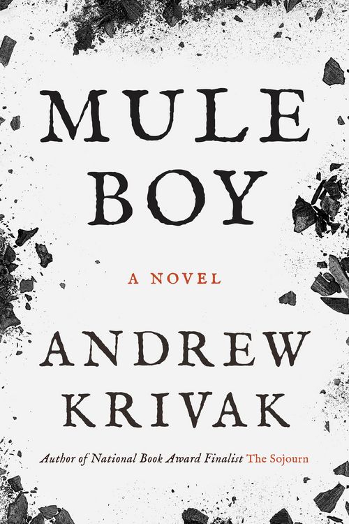 Produktbild: Mule Boy