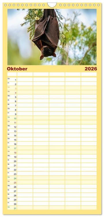 Produktbild: Familienplaner 2026 - Flughunde - Meister der Nacht mit 5 Spalten (Wandkalender, 21 x 45 cm) CALVENDO