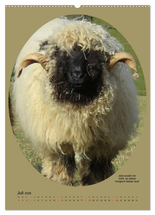 Produktbild: Scharfe Portraits (Wandkalender 2026 DIN A2 hoch), CALVENDO Monatskalender