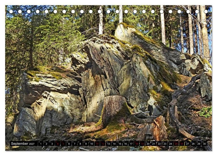 Produktbild: Naturwunder Wald (Tischkalender 2027 DIN A5 quer), CALVENDO Monatskalender