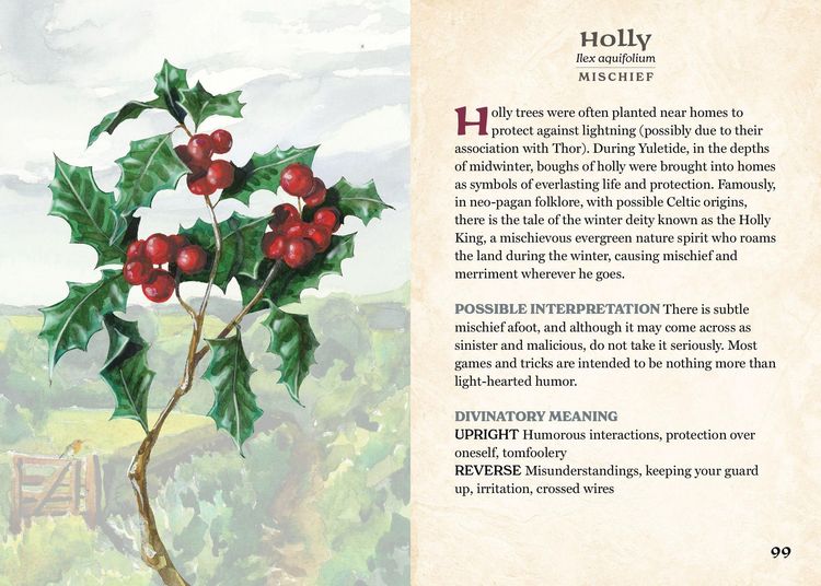 Produktbild: The Herbalist's Oracle