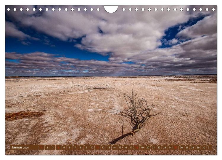 Produktbild: Outback Life - Australien (Wandkalender 2026 DIN A4 quer), CALVENDO Monatskalender