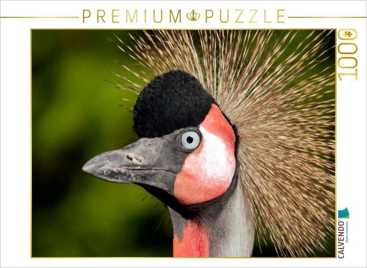 Produktbild: CALVENDO Puzzle Ein Motiv aus dem Kalender Weltvogelpark Walsrode - Die Vielfalt der Vogelarten | 1000 Teile Lege-Gr&ouml;&szlig;e 64x48cm Foto-Puzzle f&uuml;r gl&uuml;ckl