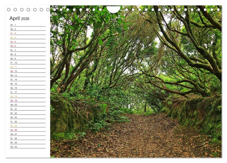 Produktbild: Der Norden von Teneriffa (Wandkalender 2026 DIN A4 quer), CALVENDO Monatskalender
