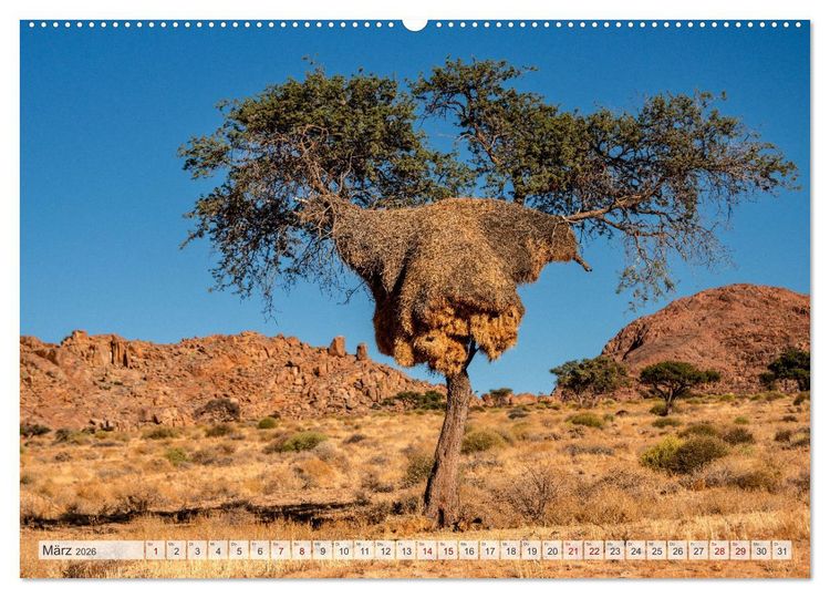 Produktbild: Abenteuerliches Namibia (hochwertiger Premium Wandkalender 2026 DIN A2 quer), Kunstdruck in Hochglanz