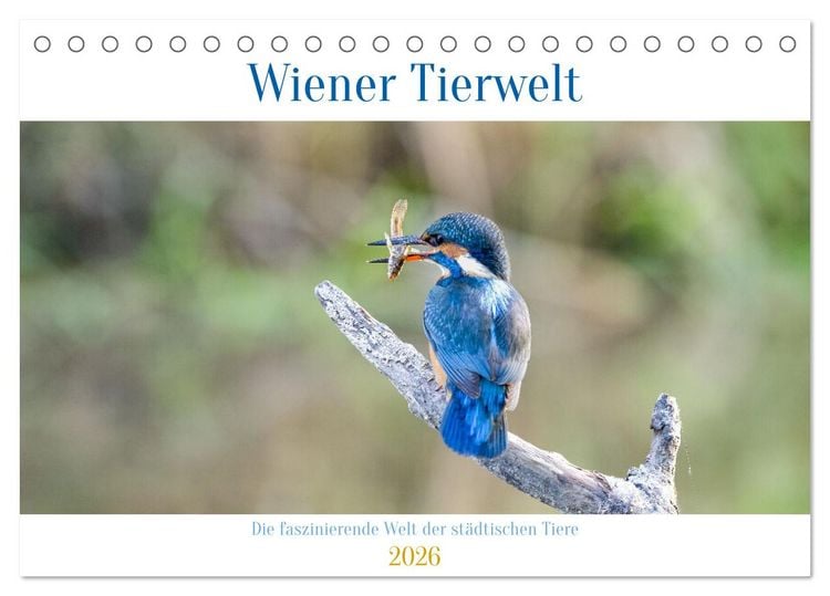 Produktbild: Wiener Tierwelt (Tischkalender 2026 DIN A5 quer), CALVENDO Monatskalender
