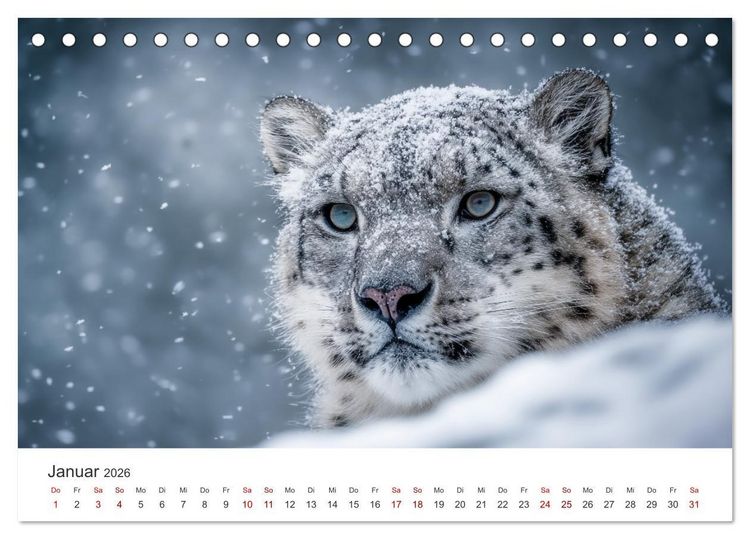 Produktbild: Geist des Gebirges - Ein Jahr in der wilden Welt der Schneeleoparden (Tischkalender 2026 DIN A5 quer), CALVENDO Monatskalender