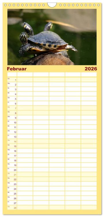 Produktbild: Familienplaner 2026 - Schildkr&ouml;ten - Gepanzerte Urzeitwesen mit 5 Spalten (Wandkalender, 21 x 45 cm) CALVENDO