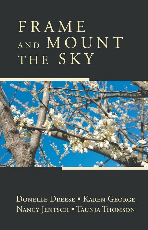 Produktbild: Frame and Mount the Sky
