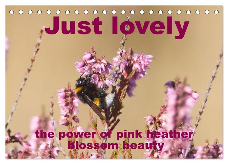 Produktbild: Just lovely - the power of pink heather blossom beauty (Desk Calendar 2026 DIN A5 landscape), CALVENDO 12 Month DeskCalendar