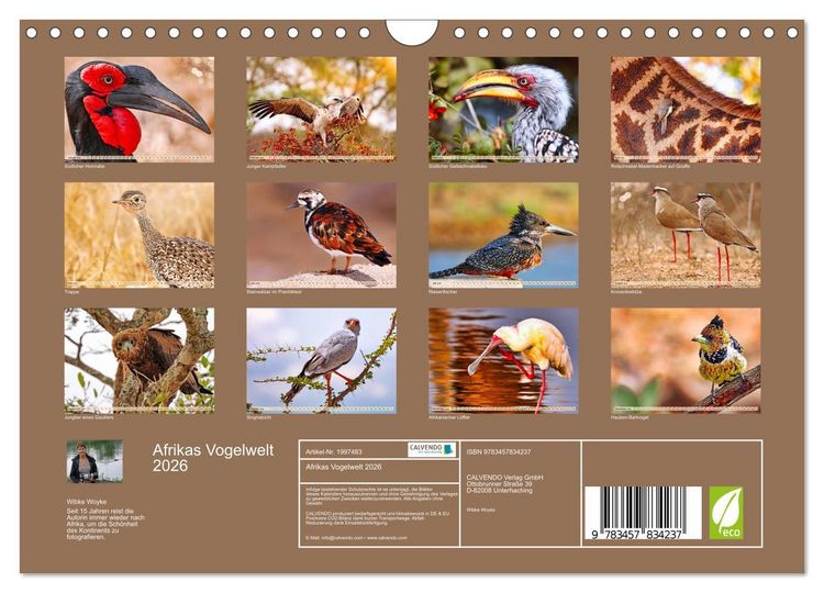 Produktbild: Afrikas Vogelwelt 2026 (Wandkalender 2026 DIN A4 quer), CALVENDO Monatskalender