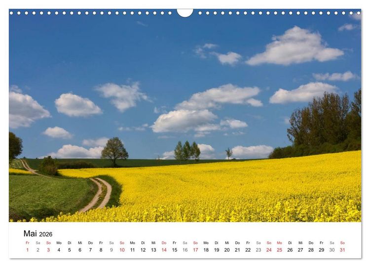 Produktbild: Rapsodie (Wandkalender 2026 DIN A3 quer), CALVENDO Monatskalender