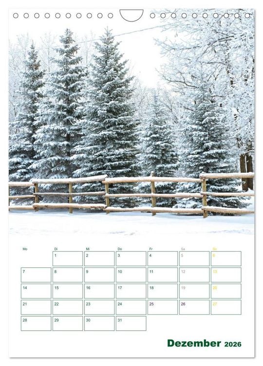 Produktbild: Wald- und Wiesenkalender 2026 Planer (Wandkalender 2026 DIN A4 hoch), CALVENDO Monatskalender