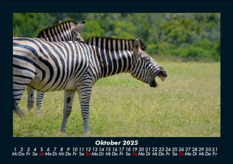 Produktbild: Welt der Tiere 2025 Fotokalender DIN A5