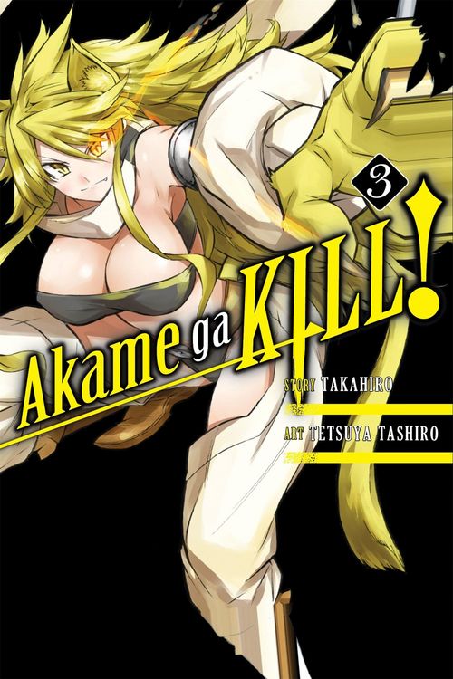 Produktbild: Akame Ga Kill!, Vol. 3