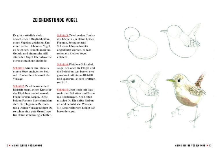 Produktbild: Meine kleine Vogelkunde