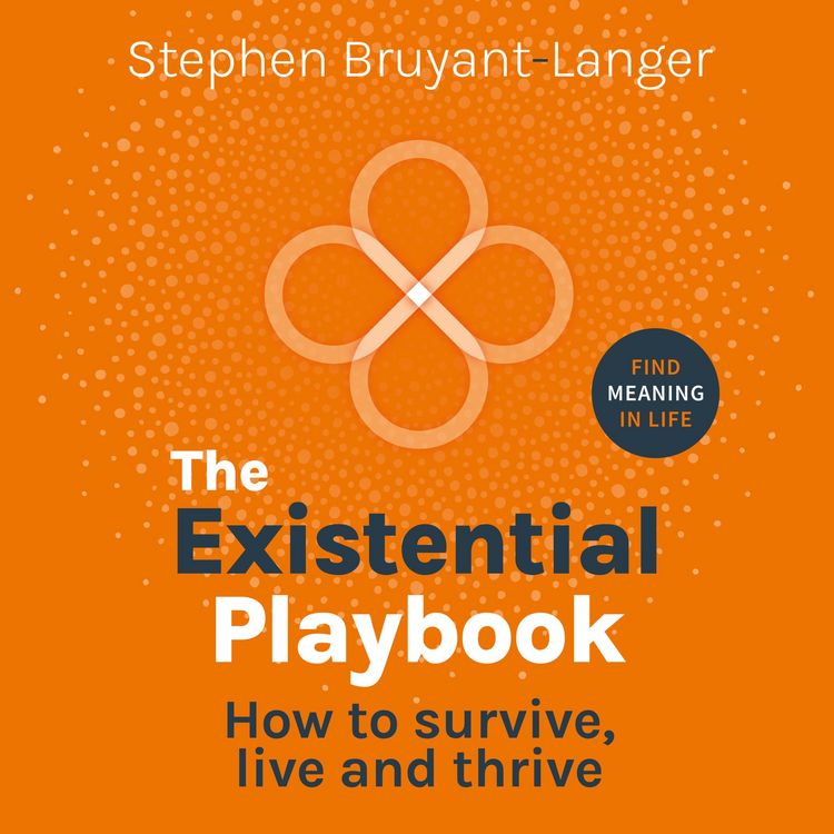 Produktbild: The Existential Playbook