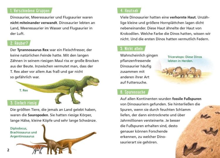 Produktbild: Pixi Wissen 55: Dinosaurier. 100 erstaunliche Tatsachen