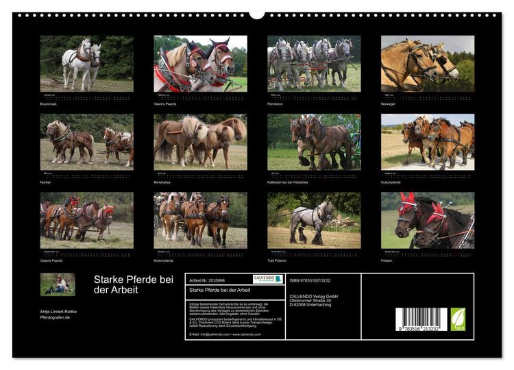 Produktbild: Starke Pferde bei der Arbeit (hochwertiger Premium Wandkalender 2026 DIN A2 quer), Kunstdruck in Hochglanz