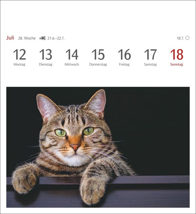 Produktbild: Katzen Postkartenkalender 2027 - Wochenkalender mit 53 Postkarten