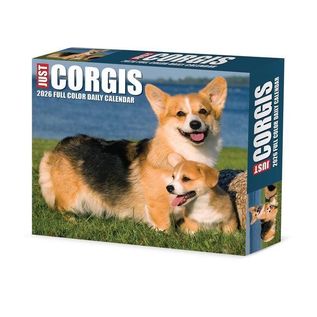 Produktbild: Corgis 2026 Box Calendar