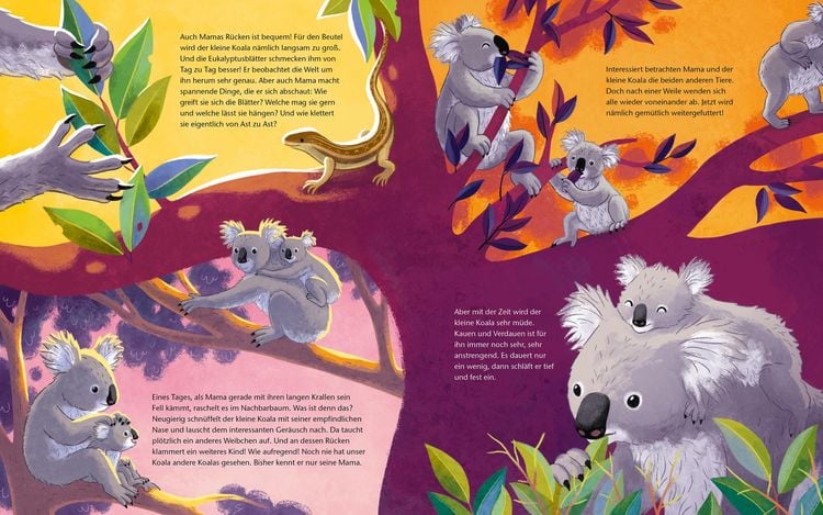 Produktbild: Der kleine Koala - Zu Hause im Eukalyptus