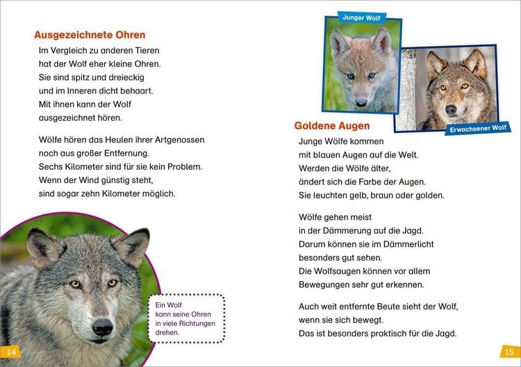 Produktbild: WAS IST WAS Erstes Lesen Band 20. W&ouml;lfe