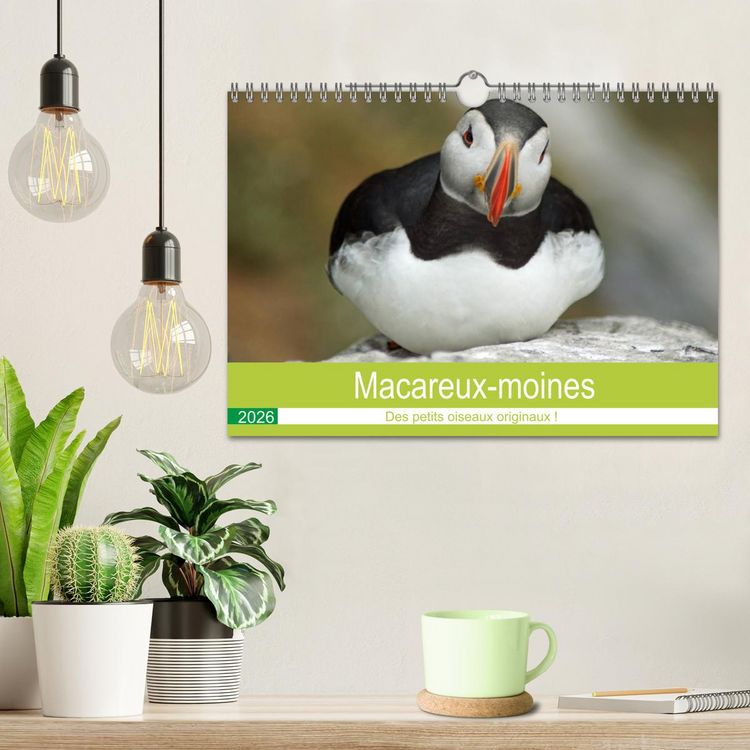 Produktbild: Macareux-moines Des petits oiseaux originaux! (Calendrier mural 2026 DIN A4 vertical), CALVENDO calendrier mensuel