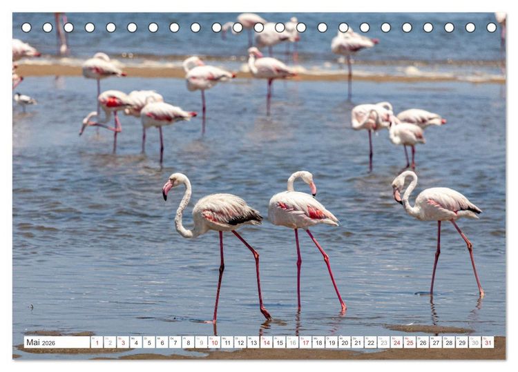 Produktbild: Afrika - Namibia (Tischkalender 2026 DIN A5 quer), CALVENDO Monatskalender