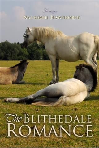 Produktbild: Blithedale Romance