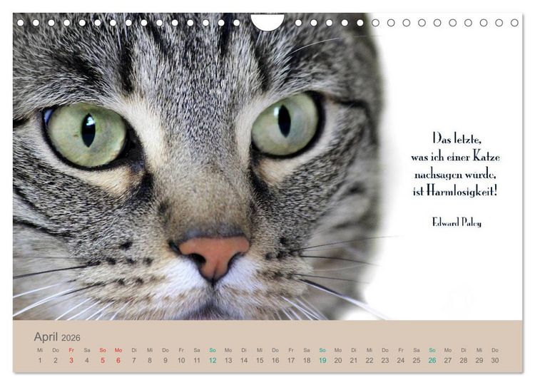 Produktbild: Katzenzitate 2026 (Wandkalender 2026 DIN A4 quer), CALVENDO Monatskalender