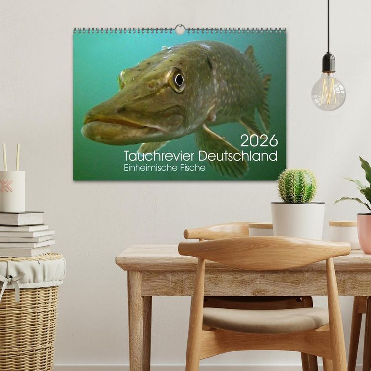 Produktbild: Tauchrevier Deutschland (Wandkalender 2026 DIN A3 quer), CALVENDO Monatskalender
