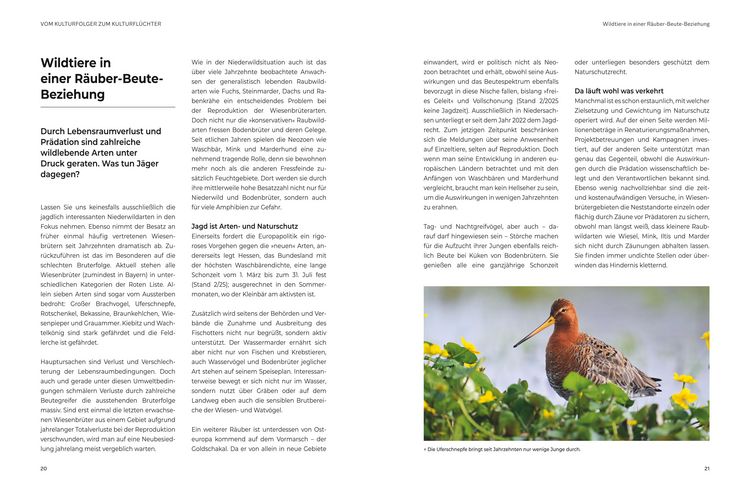 Produktbild: Das gro&szlig;e BLV Handbuch Niederwild