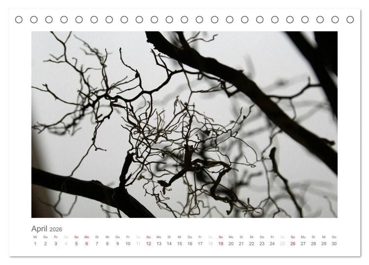 Produktbild: einfach schwarz-wei&szlig; (Tischkalender 2026 DIN A5 quer), CALVENDO Monatskalender