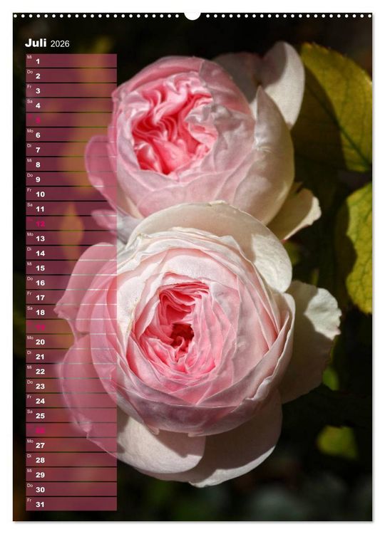 Produktbild: Rosen f&uuml;r DICH / Geburtstagskalender (hochwertiger Premium Wandkalender 2026 DIN A2 hoch), Kunstdruck in Hochglanz