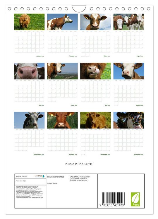 Produktbild: Kuhle K&uuml;he 2026 (Wandkalender 2026 DIN A4 hoch), CALVENDO Monatskalender