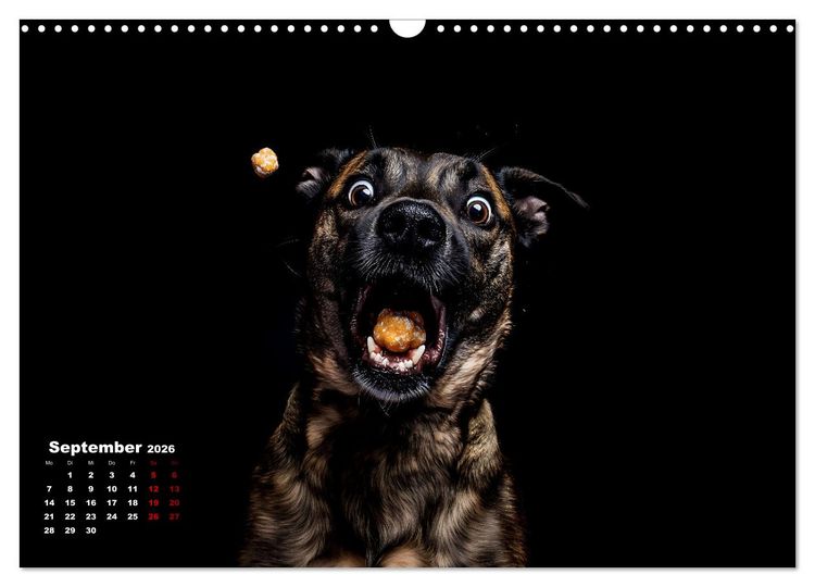 Produktbild: Leckerchen! (Wandkalender 2026 DIN A3 quer), CALVENDO Monatskalender