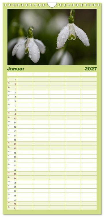 Produktbild: Familienplaner 2027 - Fr&uuml;hlingsbl&uuml;her - Farbenpracht nach dem Winter mit 5 Spalten (Wandkalender, 21 x 45 cm) CALVENDO