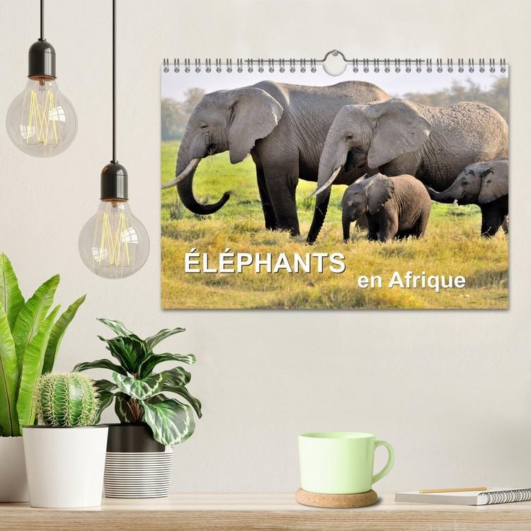 Produktbild: &Eacute;l&eacute;phants en Afrique (Calendrier mural 2026 DIN A4 vertical), CALVENDO calendrier mensuel
