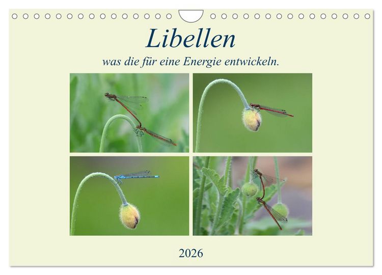 Produktbild: Libellen, was die f&uuml;r eine Energie entwickeln. (Wandkalender 2026 DIN A4 quer), CALVENDO Monatskalender