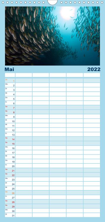 Produktbild: Tauchen, Fische und Meer - Familienplaner hoch (Wandkalender 2022 , 21 cm x 45 cm, hoch)