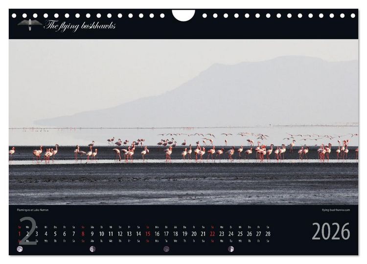 Produktbild: Tansania Blickwinkel 2026 (Wandkalender 2026 DIN A4 quer), CALVENDO Monatskalender