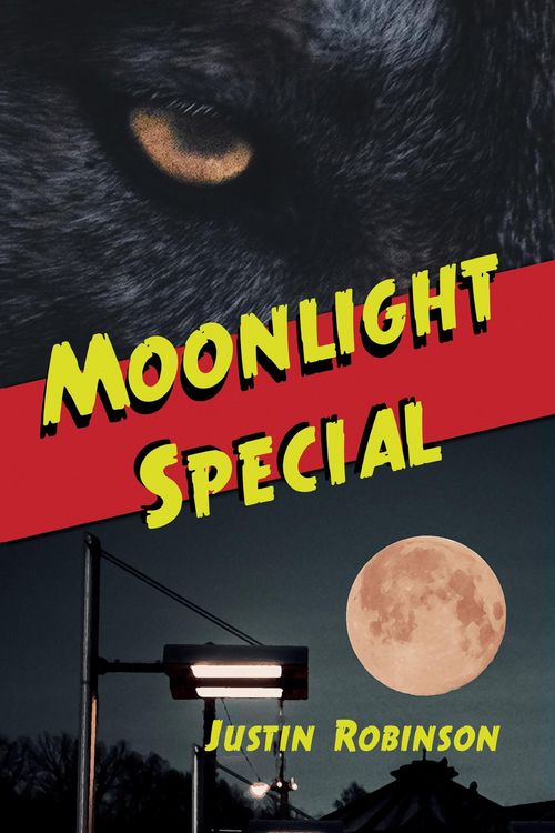 Produktbild: Moonlight Special