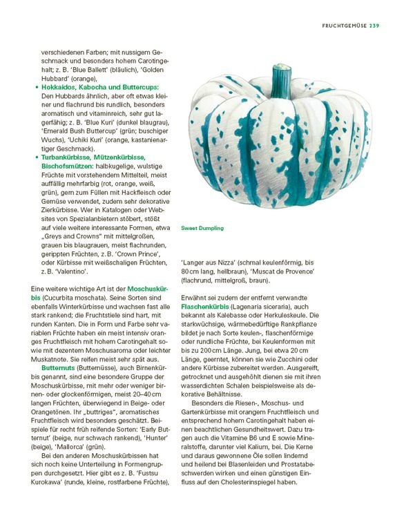 Produktbild: Das gro&szlig;e Gem&uuml;se- und Obstgartenbuch