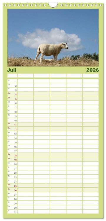 Produktbild: Familienplaner 2026 - Texel, eine Perle Frieslands mit 5 Spalten (Wandkalender, 21 x 45 cm) CALVENDO