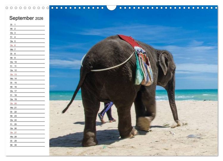 Produktbild: Elefanten - Wasserspa&szlig; am Strand (Wandkalender 2026 DIN A3 quer), CALVENDO Monatskalender